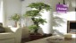 Artificial Plants For Home Decor